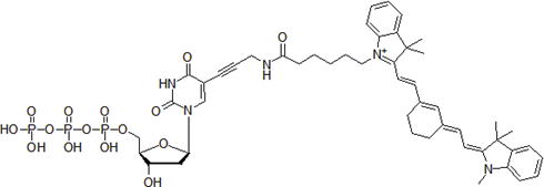 ​Cy7-dUTP